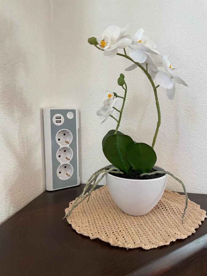 상트율리흐암필레르시 Haus Wittig 아파트 외부 사진