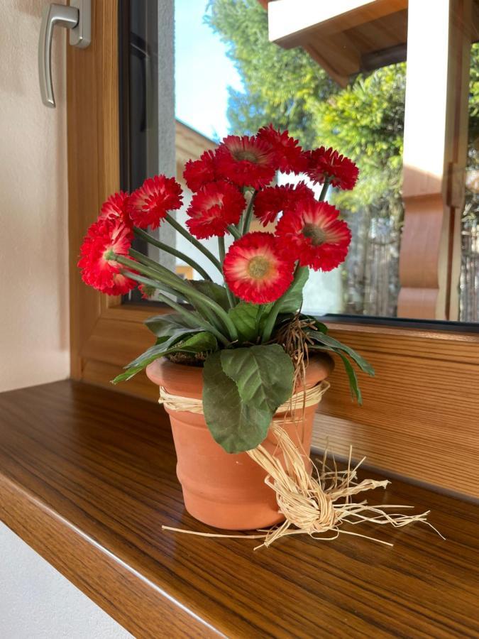 상트율리흐암필레르시 Haus Wittig 아파트 외부 사진
